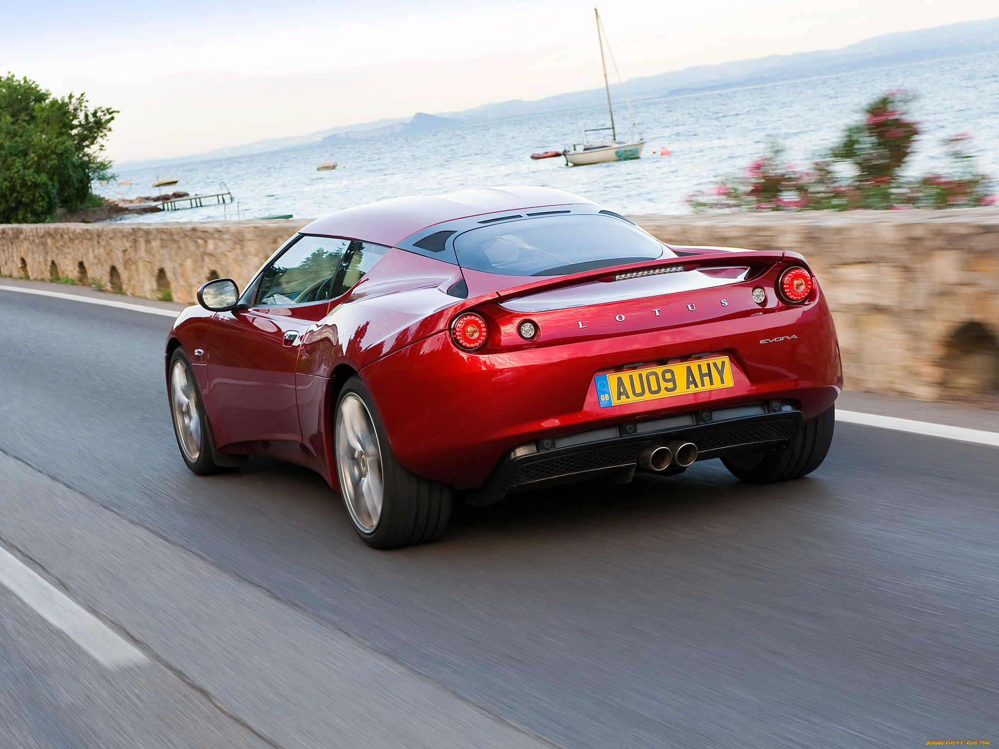 , lotus